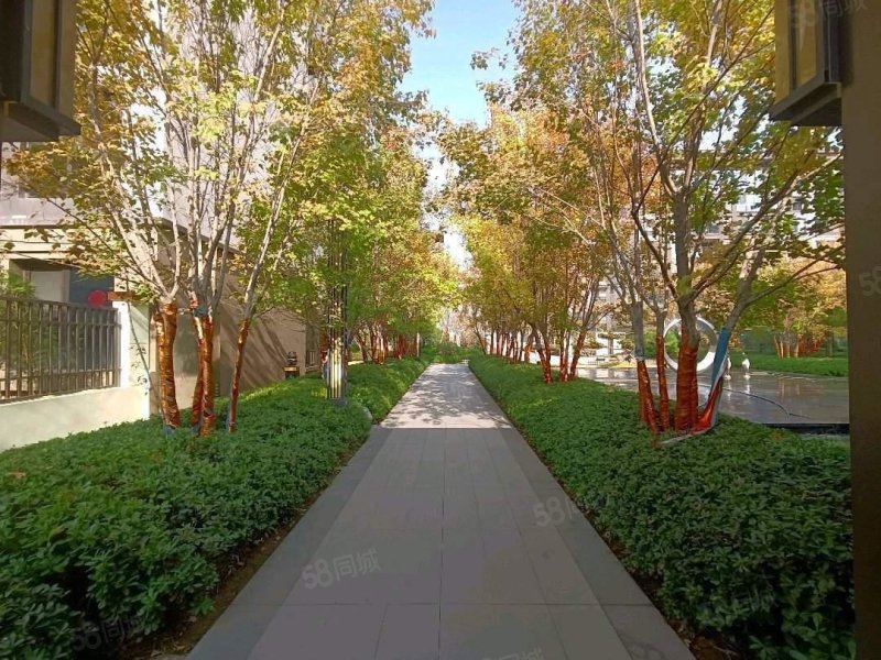 4米 有证可按揭,建业大城小院-周口58同城