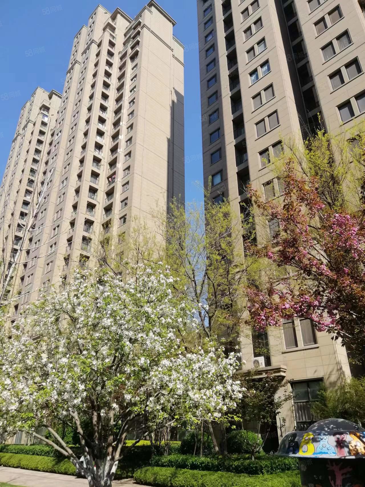 【10图】棕榈城精装好房,带车储,采光好,南北通透,齐华棕榈城-淄博58