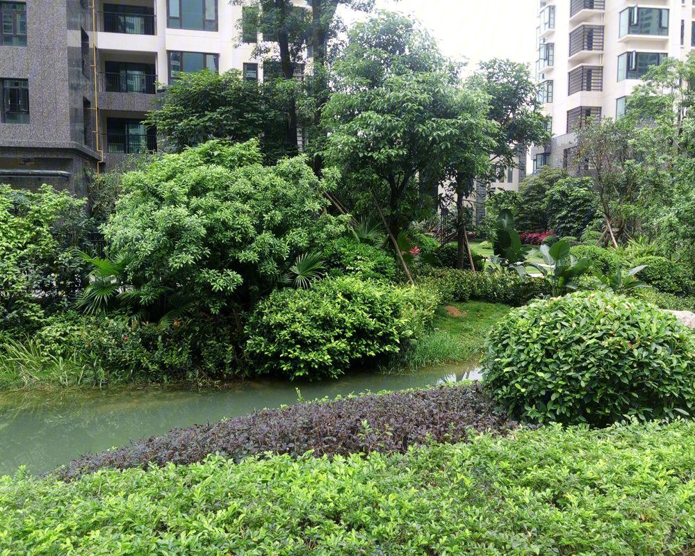 【西明蓝湾, 西明蓝湾小区详情,房价走势,房源,业主论坛】- 南宁58