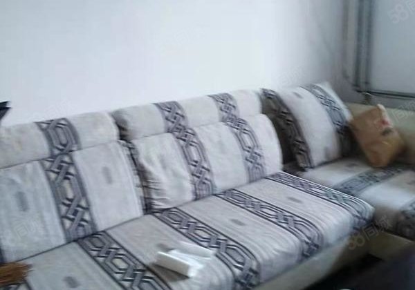 老文轩，老一中，外国语附近， 中间楼层 ，免大税