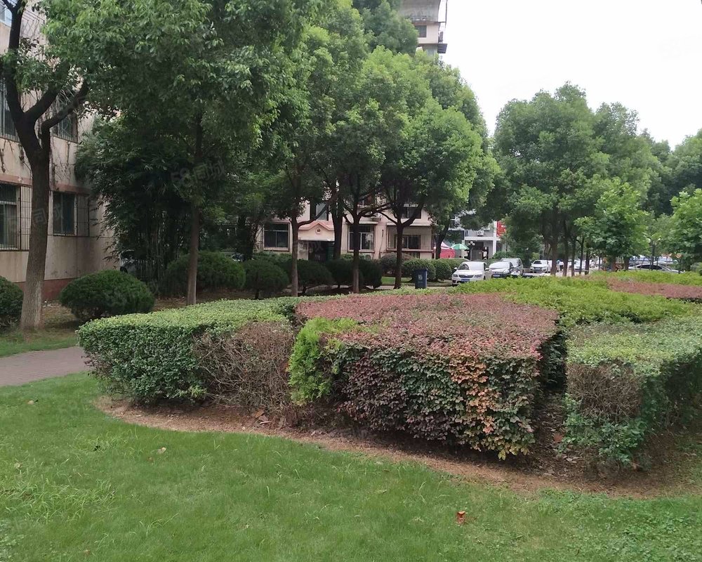 【绿岛花园, 绿岛花园小区详情,房价走势,房源,业主论坛】- 武汉58