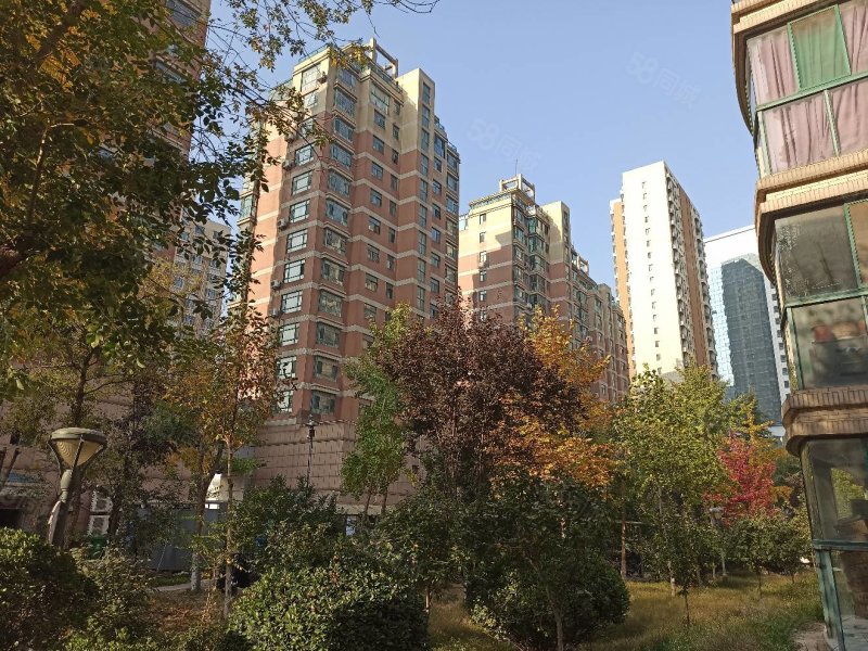 人民公园近,白浪河畔,电梯洋房,丽景苑3室2厅2卫精装房型好