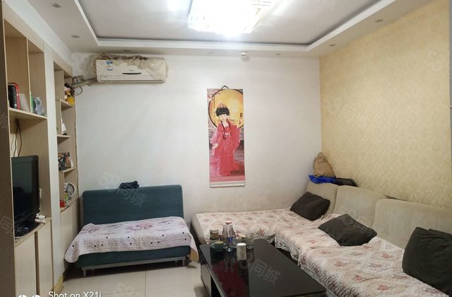 老东昌 金鼎南邻 电梯房 两室 65万