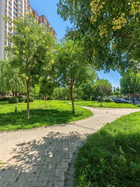 金通陽(yáng)光苑(南區(qū))3室2廳1衛(wèi)105.02㎡南北455萬(wàn)