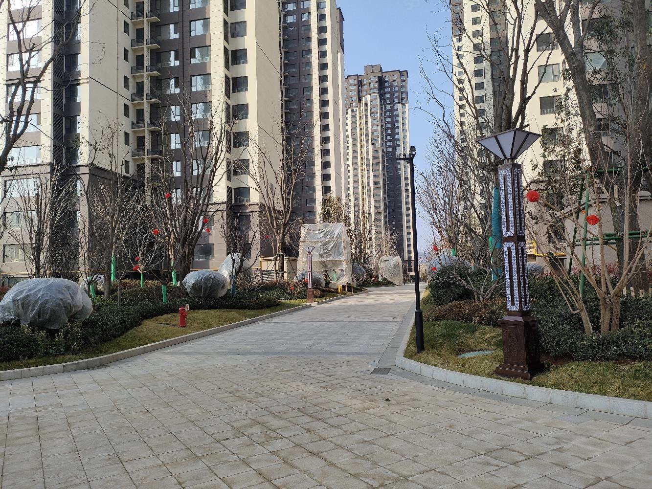 轩苑悦华府3室2厅2卫128㎡南北53万