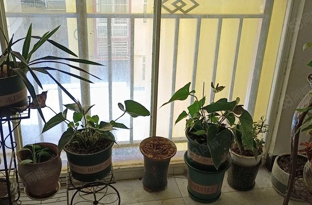 曼弄枫情2室1厅90㎡49万二手房图片