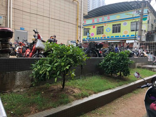 【嘉信大厦房价走势,嘉信大厦房屋出租,嘉信大厦二手房出售】- 湛江58