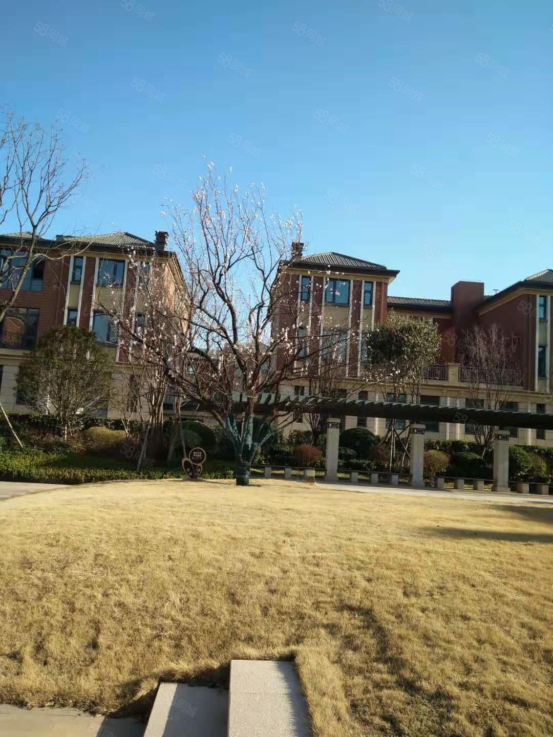 【10图】中电银河湾 联排别墅 前后花园100平 满二 急售 随时看房