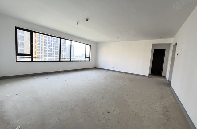 抢绿城百合，桃李天阅，国岳府大平层带储藏室边户好楼层全明户型