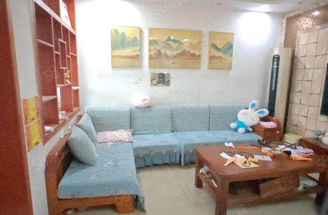 地暖好房，急售，桐凤家园，三室两厅免大税，不是顶层