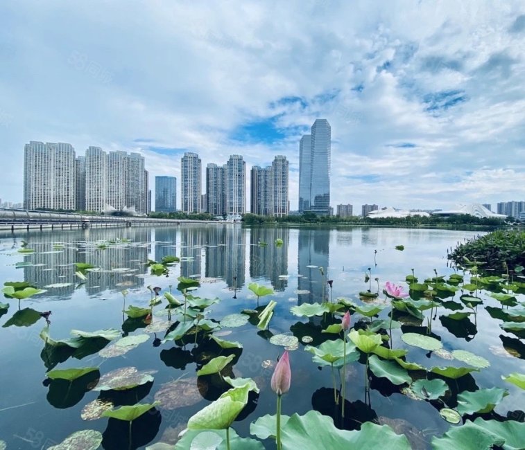 中海梅溪湖壹号(一期)3室2厅2卫129.56㎡南北270万