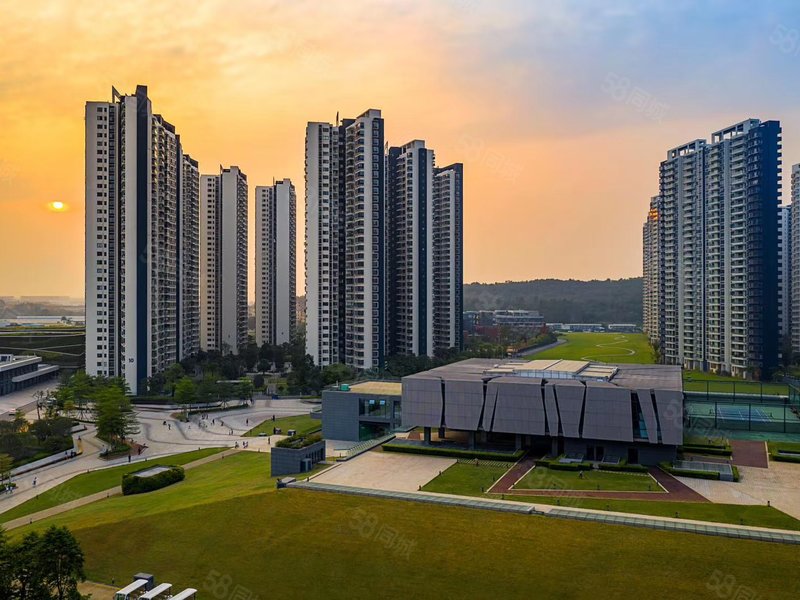 自由人花园南北对流大5房,楼层好位置安静采光明亮