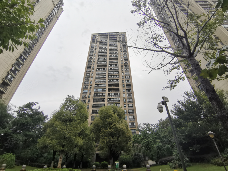 精装大平层豪宅经纪人,长安天玺-合肥58同城