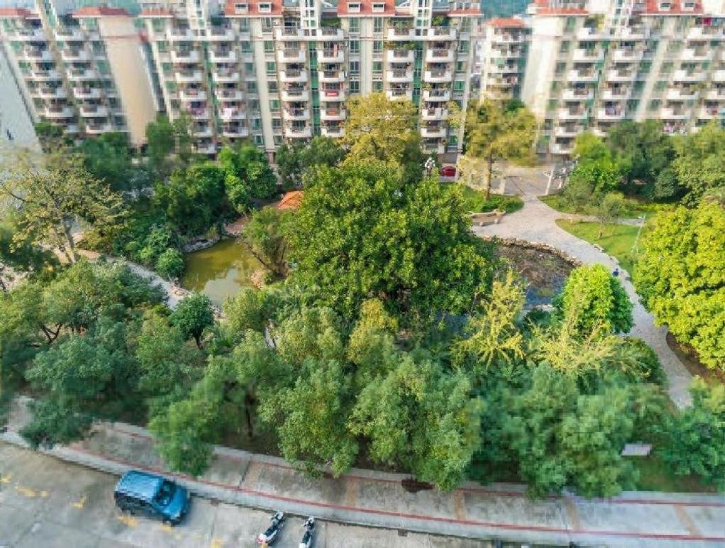 银泉花园(e区)3室2厅1卫89.6㎡南北49万