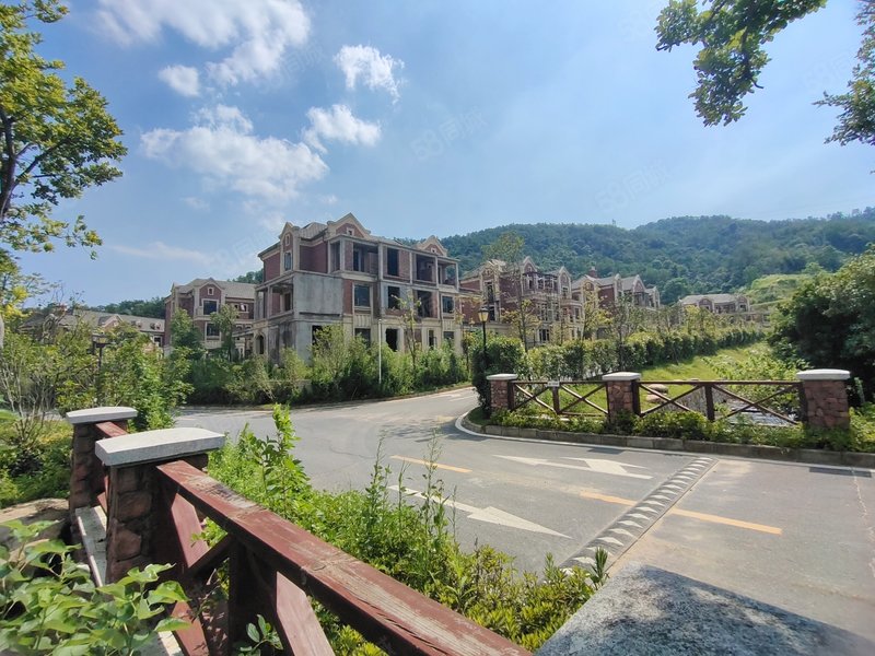 湾里保利半山一期 200平大花园双拼别墅 送全面地下室