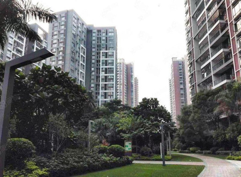 可公积金贷款大旺广场南向望花园全新未住过一口价34万