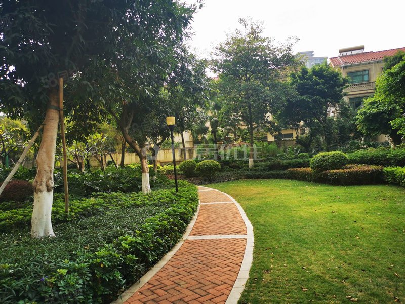 户型方正,至笋盘,错过就没了,绿景三路6号-佛山58同城