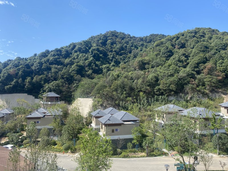 特价房八折优惠)山谷里的精装修别墅 户户带泳池,悠隐南山-湖州58同城