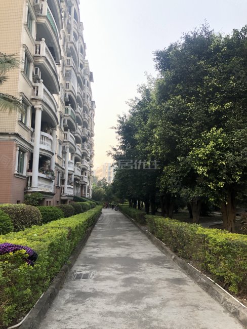 瑞丽花园3室2厅2卫87㎡北165万