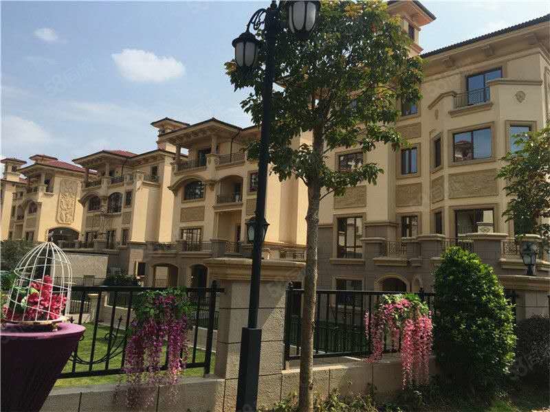 招商金山谷(别墅)6室3厅6卫640㎡南北4600万