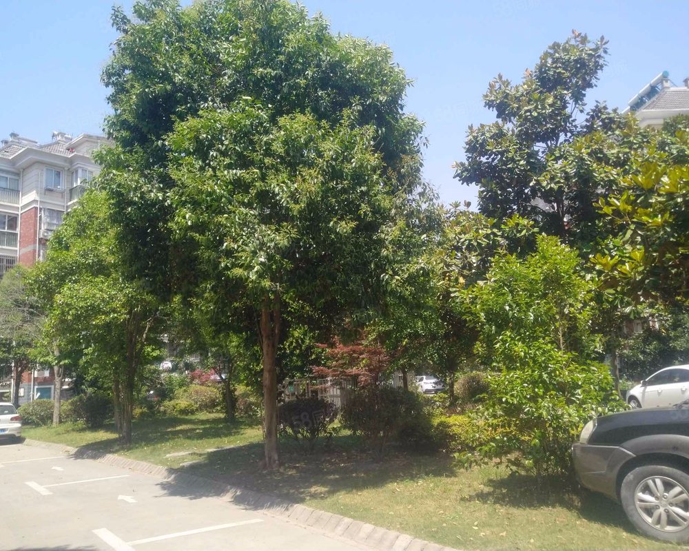 西湖花园(北区)小区详情,房价走势,房源,业主论坛】- 东台58同城