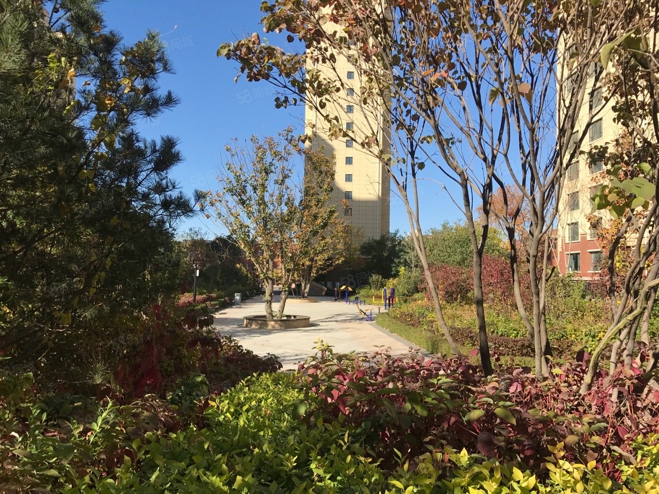 【10图】海逸半岛四期66平精装修一居室,海逸半岛-锦州58同城