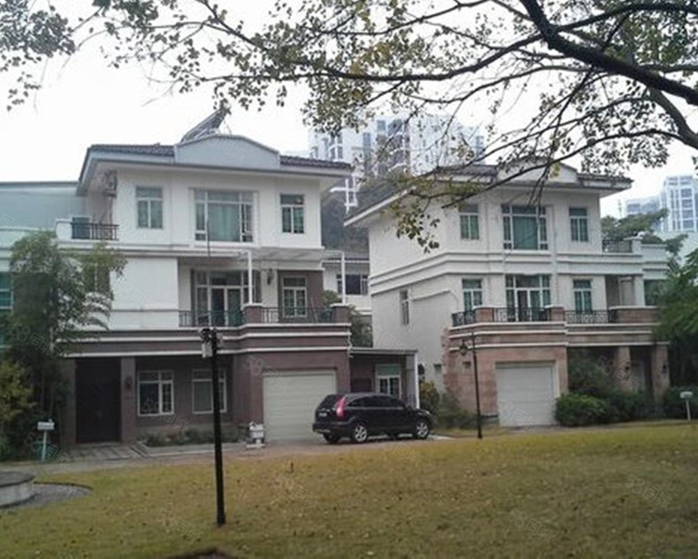 桐林别墅广州环城高速以外