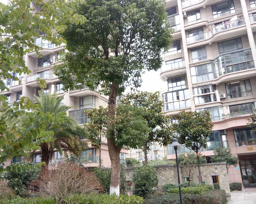 【丽都华庭, 丽都华庭小区详情,房价走势,房源,业主论坛】- 乐清58