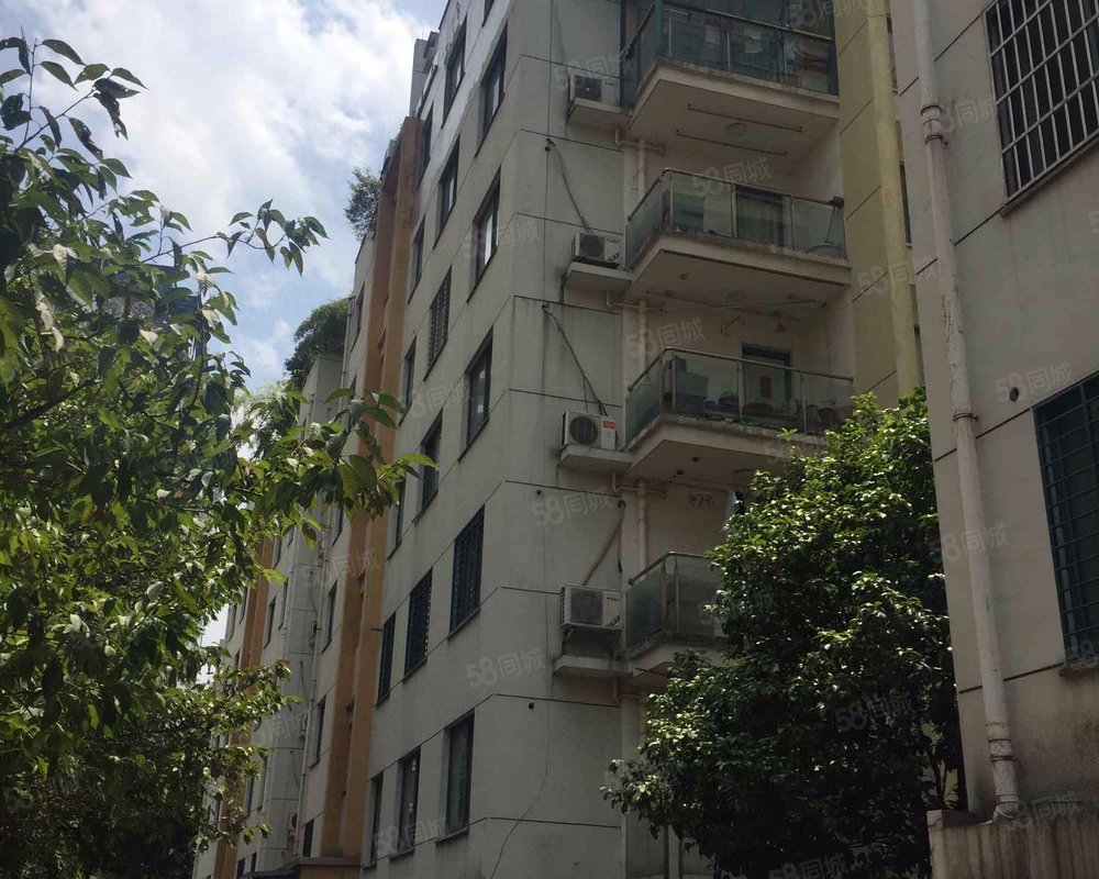 【当代江南, 当代江南小区详情,房价走势,房源,业主论坛】- 金华58