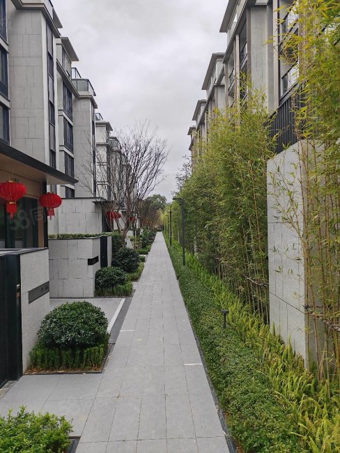 东二环登云湖下叠别墅有花园有地下室环境优美