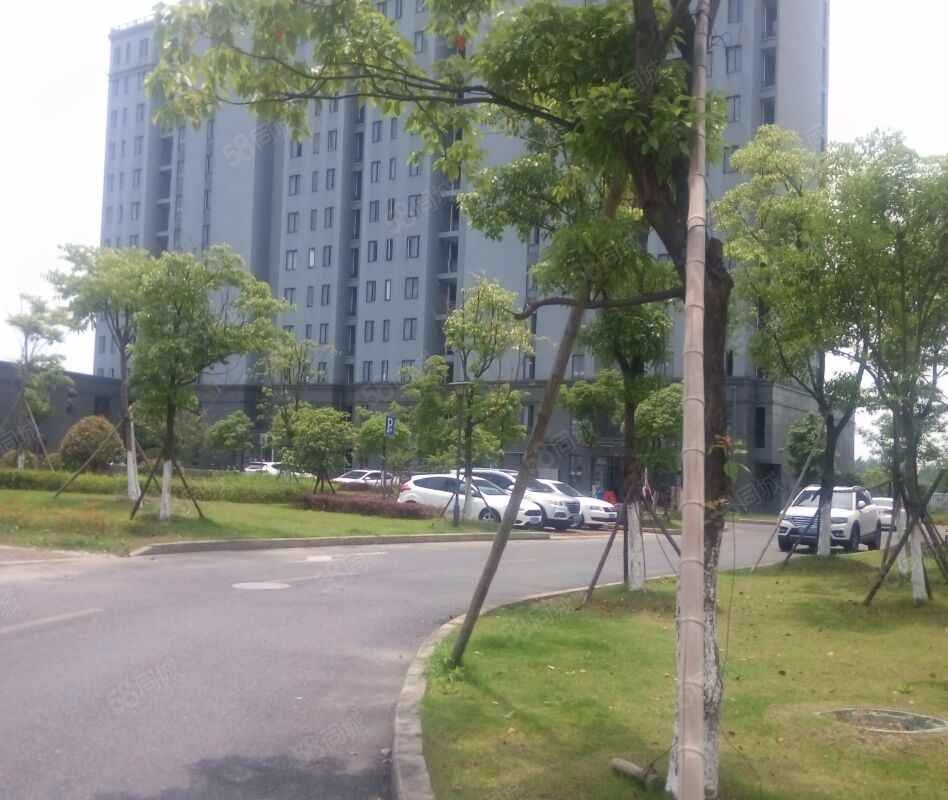 【长睦华天苑, 长睦华天苑小区详情,房价走势,房源,业主论坛】- 杭州