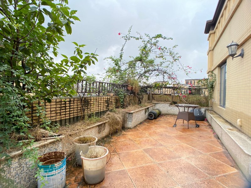 顶跃,满五,豪装,带双露台,实得240平,有子母车位