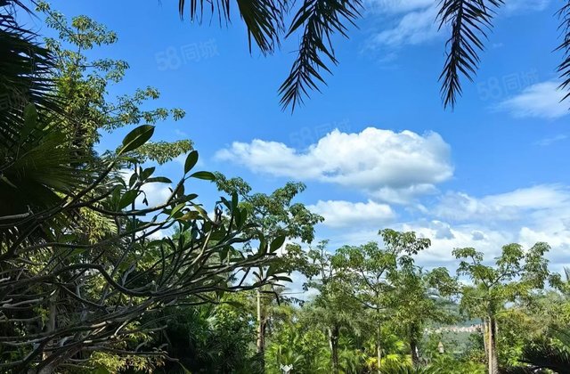 希望木棉湖山海湖国际养生度假区2室1厅68.45㎡48万二手房图片