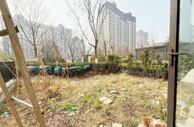 一楼带院 民生一号院 人车分流 送车位储藏室 随时看房
