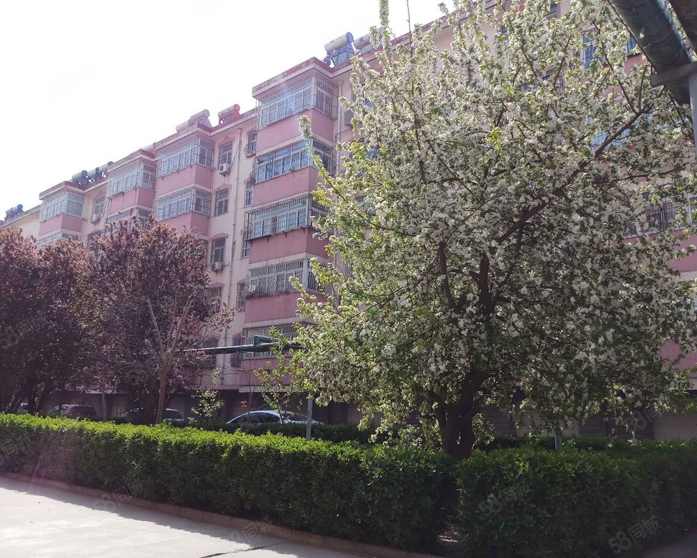 【怡园小区, 怡园小区小区详情,房价走势,房源,业主论坛】- 任丘58