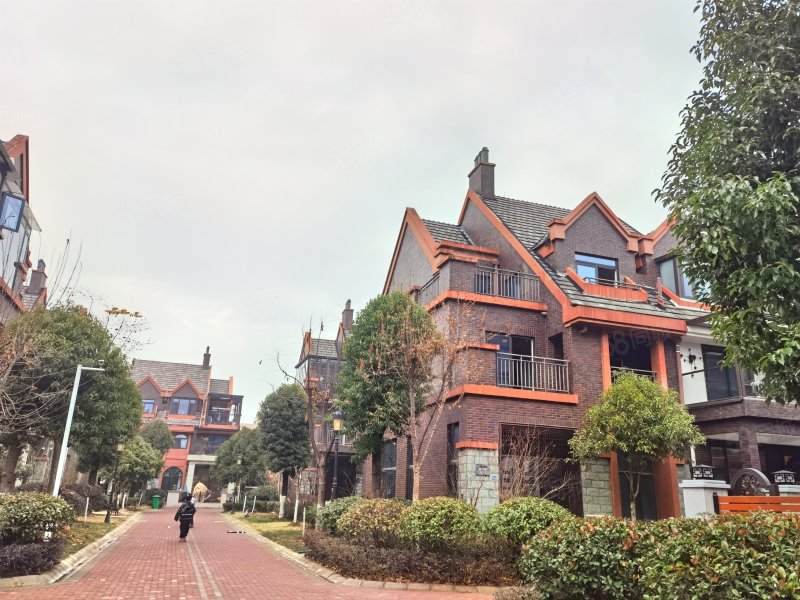 豪装别墅 装修花了200万 临湖小区 人车分流,藏龙倚湖逸墅-武汉58同城