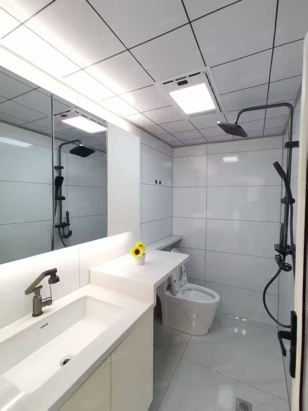 绿苑(三区)2室1厅1卫67㎡南北18.8万