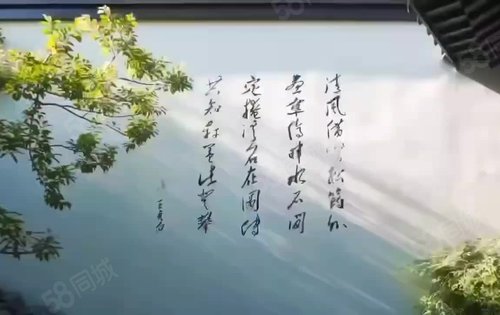 视频描述