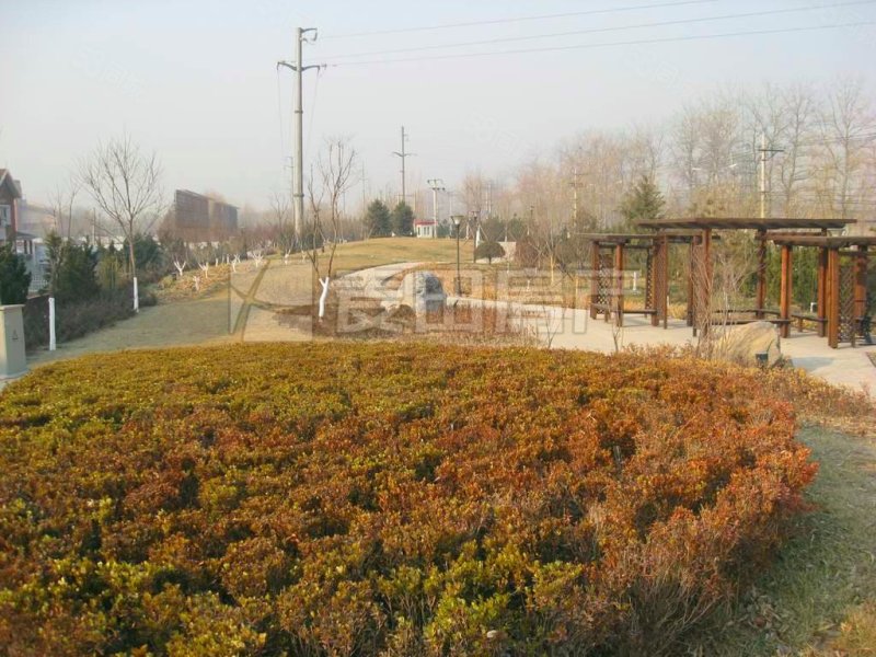 御墅臨楓(別墅)5室2廳4衛(wèi)537.81㎡南北3800萬