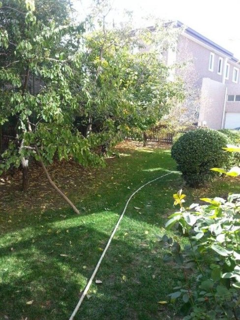 碧水莊園5室2廳4衛(wèi)303㎡南北1700萬