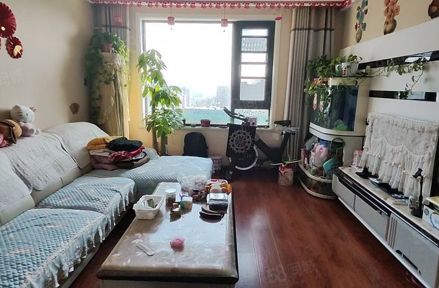 百合一期带阳台，三叶草通透户型，次顶层采光通风好