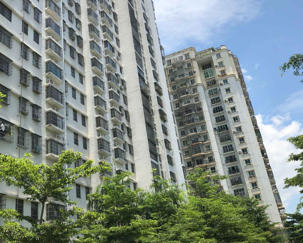 【金环大厦, 金环大厦小区详情,房价走势,房源,业主论坛】- 海口58