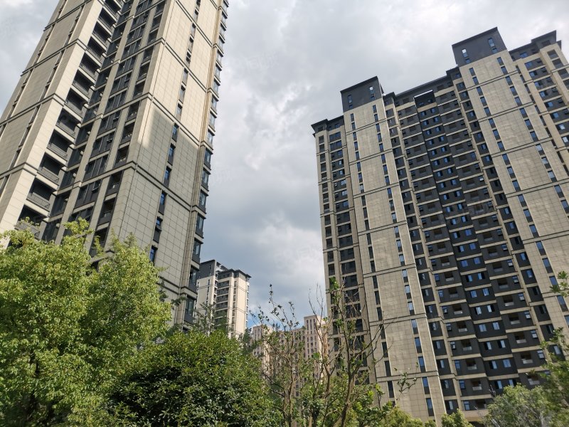 【正荣西津月房价走势,正荣西津月房屋出租,正荣西津月二手房出售】