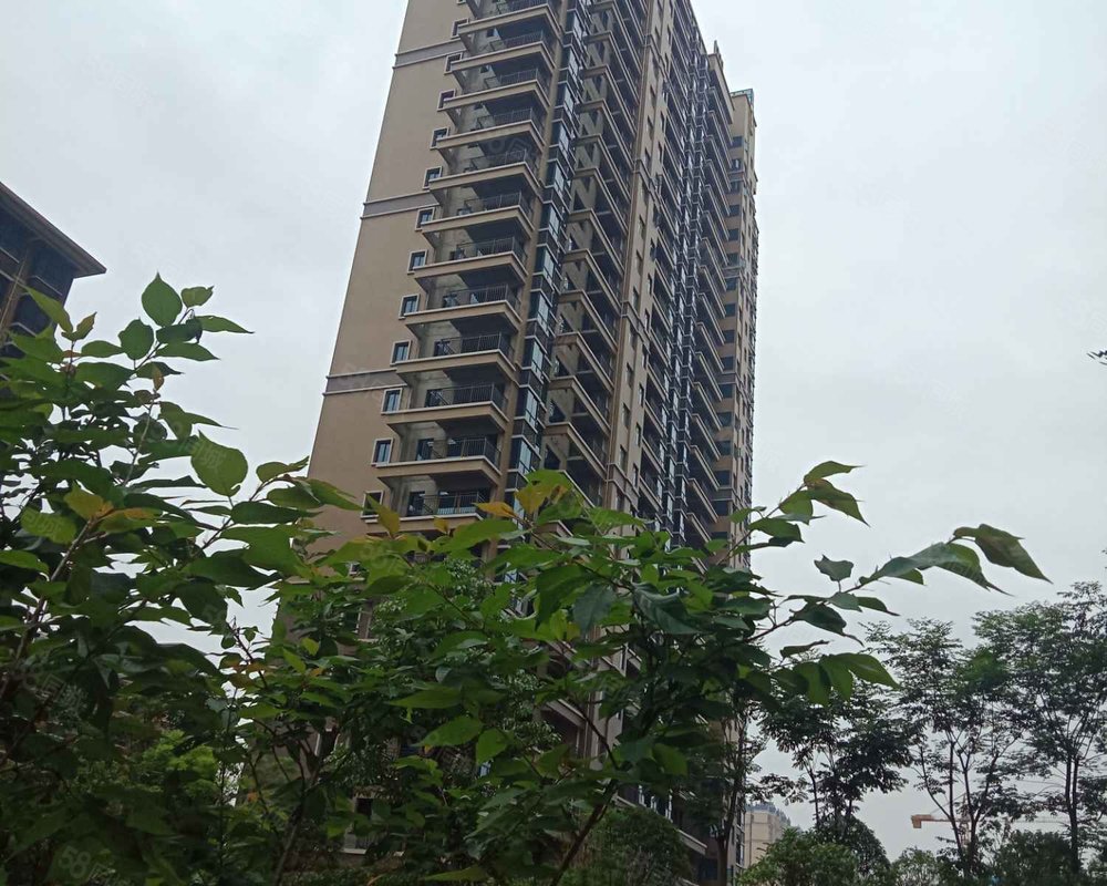 【长湖峰境, 长湖峰境小区详情,房价走势,房源,业主论坛】- 衡阳58