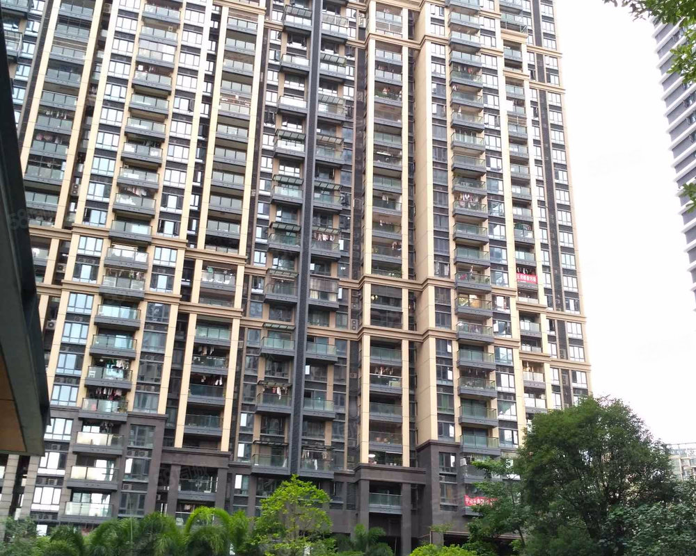 中洲华府 二期 中洲华府 二期 小区详情 房价走势 房源 业主论坛 深圳58同城 中洲华府 二期 中洲华府 二期 小区详情 房价走势 房源 业主论坛 深圳58同城