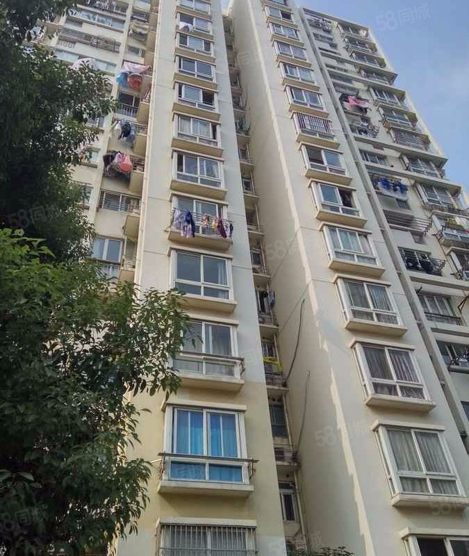 【杨浦欣园(东区), 杨浦欣园(东区)小区详情,房价走势,房源,业主论坛