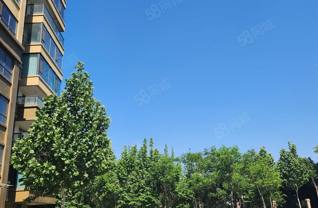 徐汇枫景3室1厅136㎡92万二手房图片