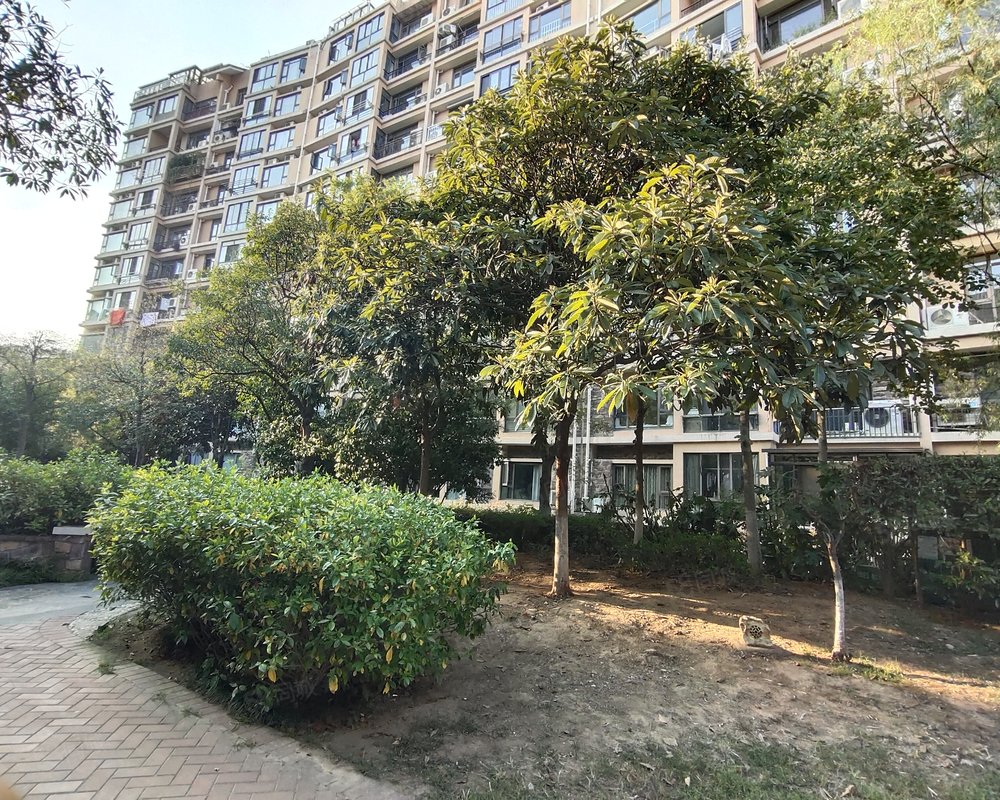 【香山美墅, 香山美墅小区详情,房价走势,房源,业主论坛】- 南京58