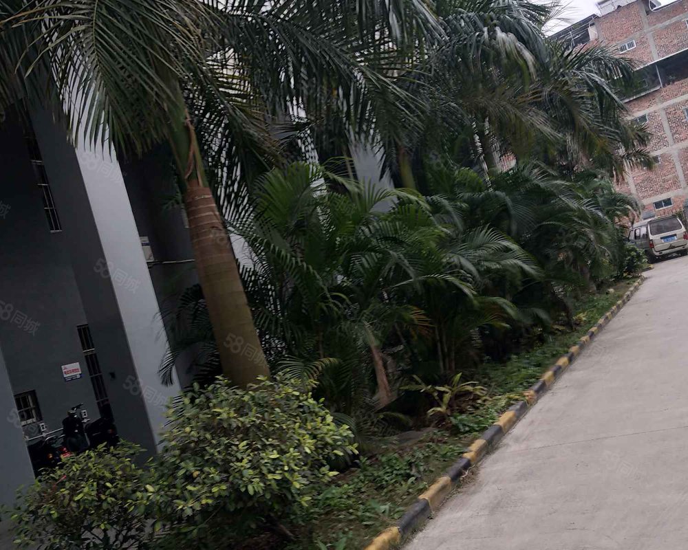 金水湾花园南区小区详情,房价走势,房源,业主论坛】- 南宁58同城