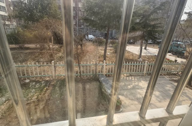 房东急售 一楼大院 诚心出 免大税 送储藏室 三叶草 可以看